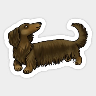 Dog - Long Haired Dachshund - Brown and Tan Sticker